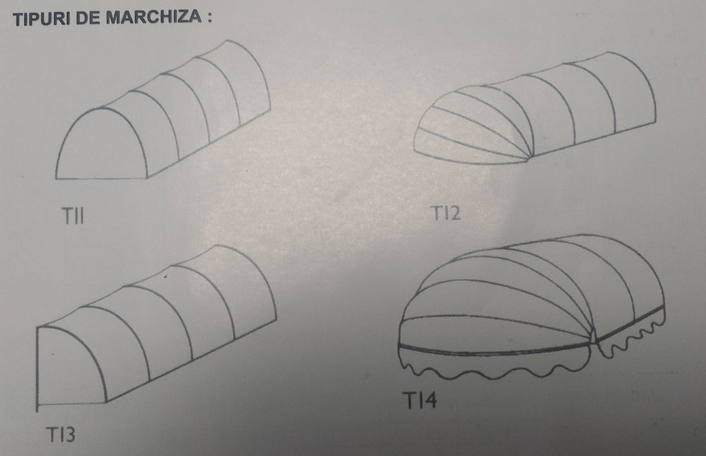 Tipuri de marchiza