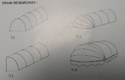Tipuri de marchiza